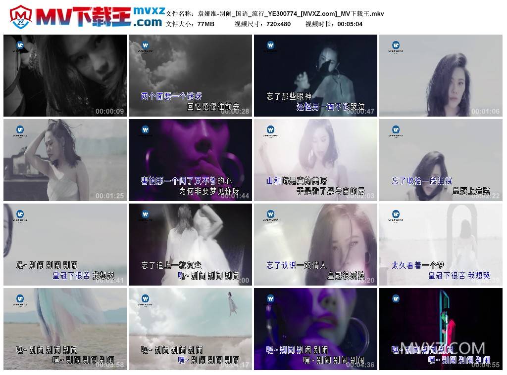 袁娅维-别闹_国语_流行_YE300774